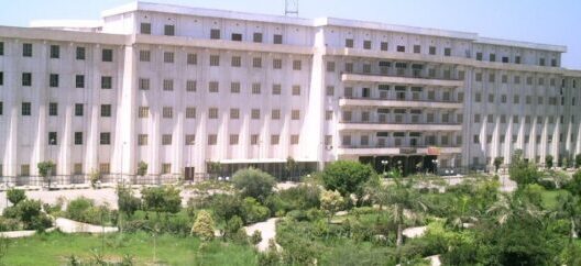 جامعة بني سويف الحكومية في مصر