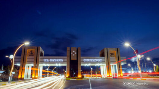 الدراسة في تركيا بجامعة سكاريا