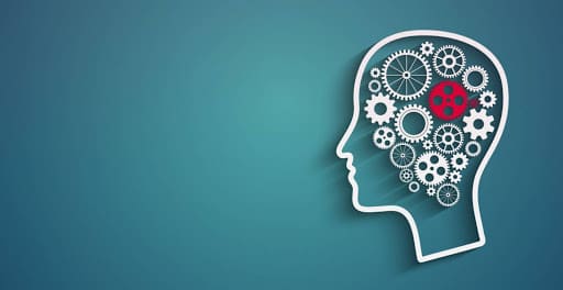 الجامعات التركية التي تدرس علم النفس