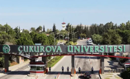 جامعة تشوكوروفا في تركيا