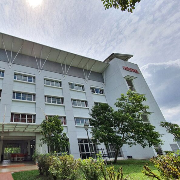 photo 5872727715943746554 y